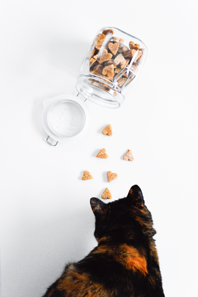 Homemade chicken treats for cats and dogs