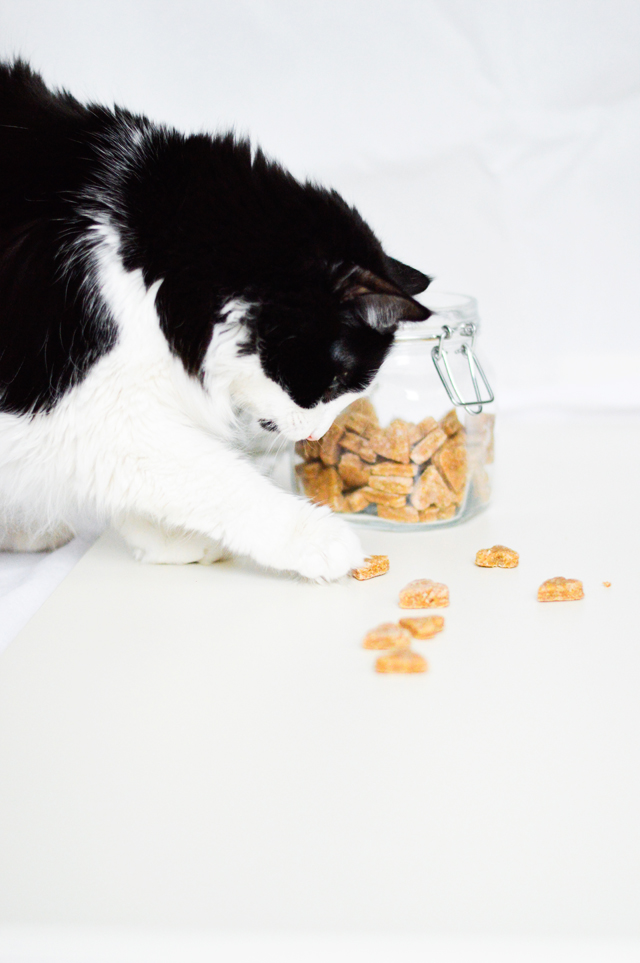 Homemade chicken treats for cats and dogs