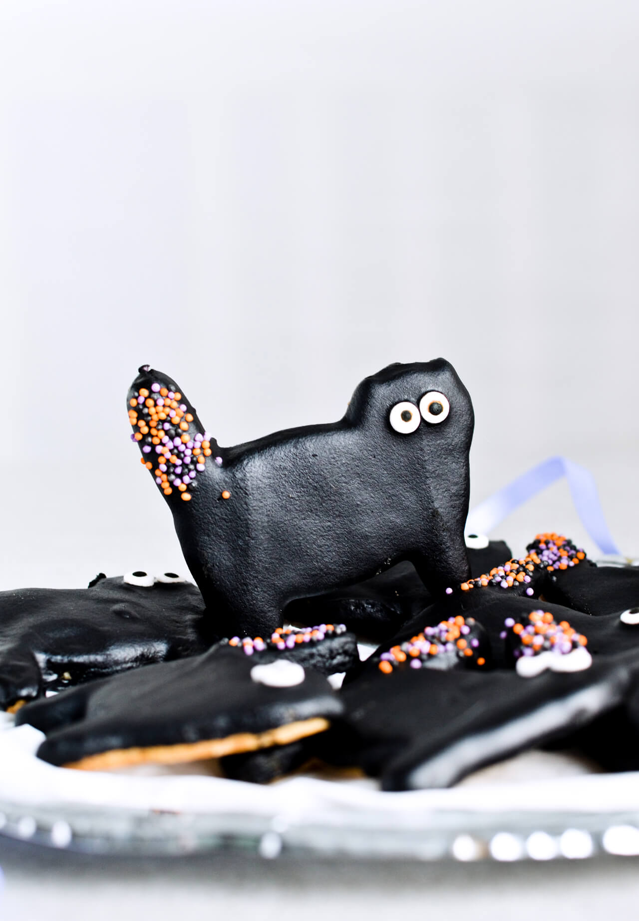 Dark chocolate cat cookies, perfect for Halloween! Or just any other fun day of the year. Sugar cookies coated with black dark chocolate and lots of sprinkles. | sugarsalted.com