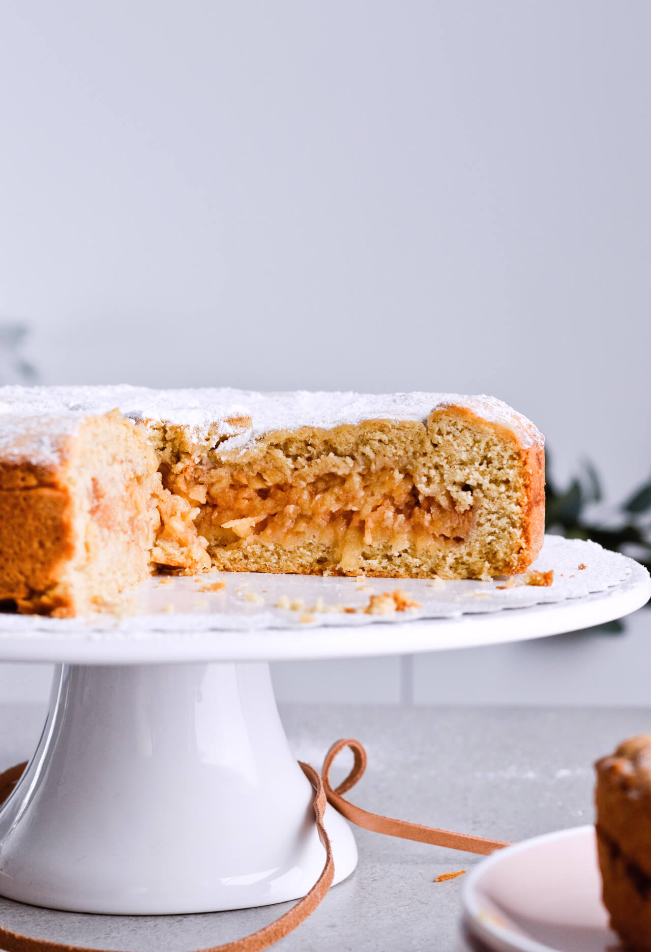 Recipe for Slovenian apple pie, which is almost a torte. Made with a sour cream, crumbly and cookie-like crust, topped with grated apples which make a very juicy filling. Easily sliced into pieces and perfect for serving to a group or potluck parties. Very easy to make. | sugarsalted.com