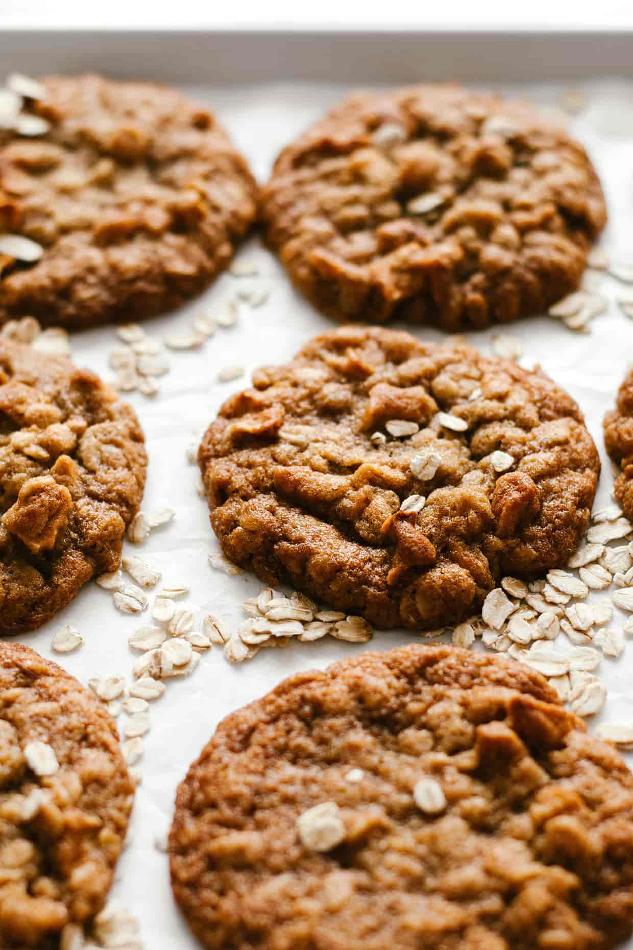 close view of chunky apple soft oatmeal cookies