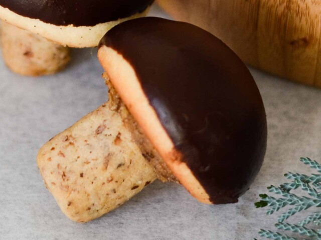 chocolate mushroom cookie